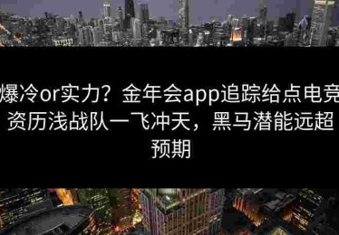 爆冷or实力？金年会app追踪给点电竞资历浅战队一飞冲天，黑马潜能远超预期