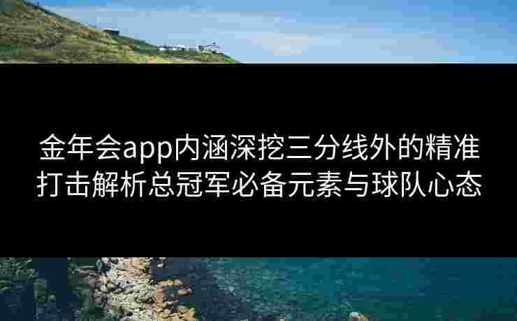 金年会app内涵深挖三分线外的精准打击解析总冠军必备元素与球队心态